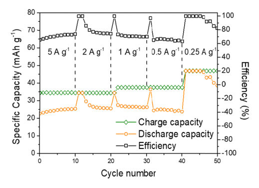Electrochemical performance of the aqueous Mg metal battery 